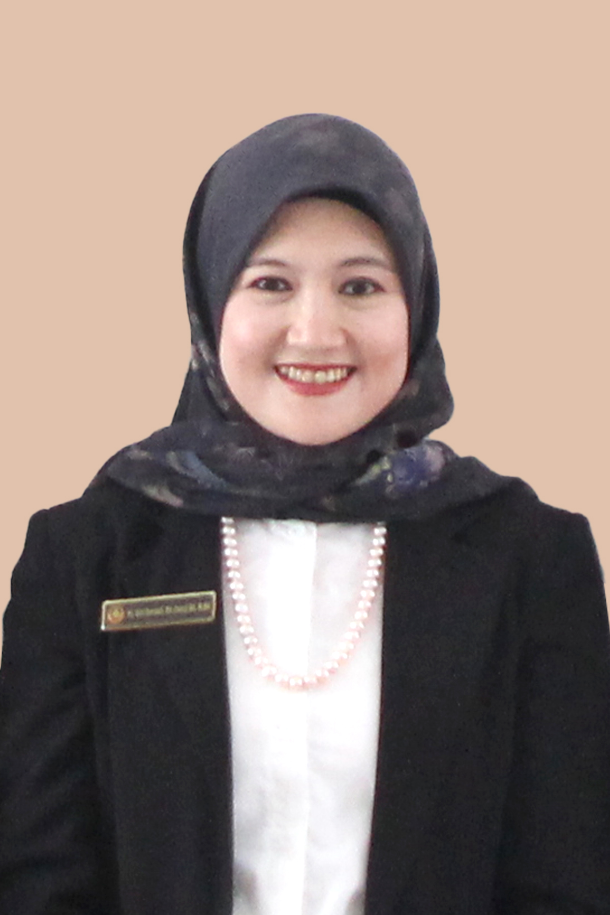 Hj. Dini Qurniati, BA (hons) BA, M.BA